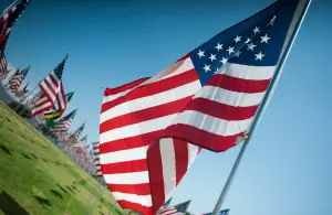 If you love America - keep an eye on our leaders! Image by szaszlajos