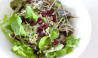 Grow your own salad at home - Image by rainydayknitter