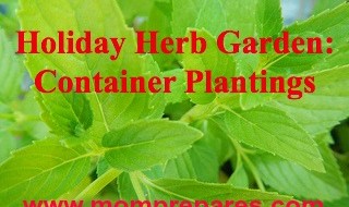 Container herbs are convenient to cook with - Image by alice_henneman