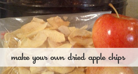 Make Your Own Dried Apple Chips