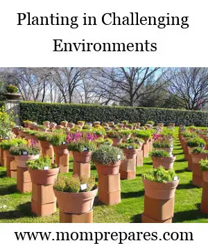 plantinginchallengingenvironments
