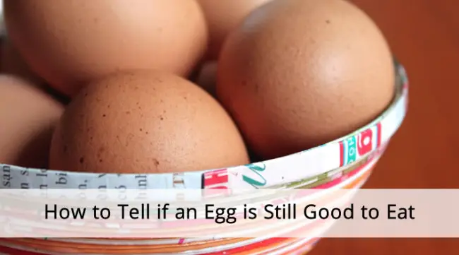 How to Tell if an Egg is Still Good Eat_slide