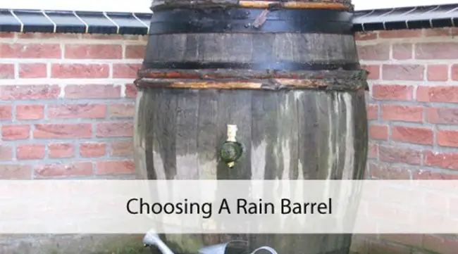 Choosing a Rain Barrel