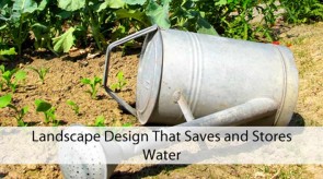 Landscape Design That Saves and Stores Water