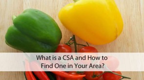 What is a CSA and How to Find One in Your Area?